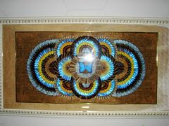 -上海昆虫博物馆