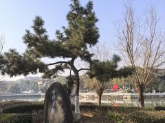 -八大山人梅湖景区