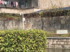 -石炮台公园
