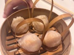 -金鼎轩(亚运村店)