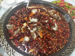 -金三可市井水煮鱼(金碧园店)