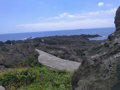 -涉地可支