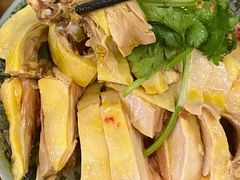 -九斤黄三黄鸡专卖店