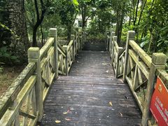 -南宁良凤江国家森林公园