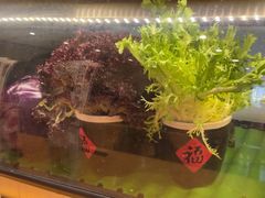 -万鱼亭 日本料理(无锡香山名园店)