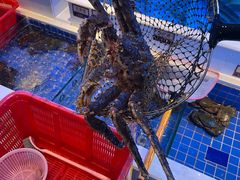 -金苑海鲜酒家(来魅力店)