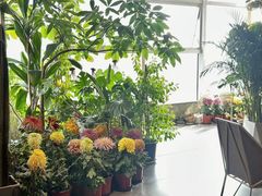 -帝京日语(春熙路旗舰校区)