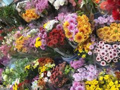 -宝鸡东道花鸟鱼虫市场(吉利花园商场店)