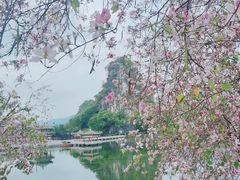 -星湖旅游景区七星岩