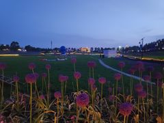 -花博汇(知音花月夜)