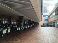 -香港大学