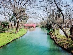 -西溪国家湿地公园