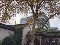 -鲤院·新中式美学·庭院餐厅(夫子庙店)