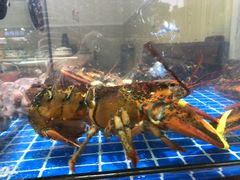 -金海湾海鲜排档(朱家尖店)
