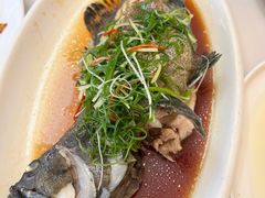 -四海之家(蛇口店)