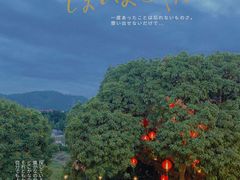 分享这片好风景-顺风山庄(水濂山店)