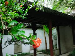 -秋霞圃