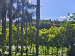 -八仙山公园
