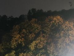 -鲤鱼塘农家山庄