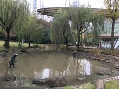 -苏州河梦清园环保主题公园