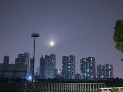 -昆山城市生态森林公园