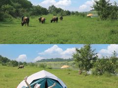 -迪卡侬(西华店)