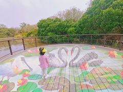 -大湾区中央湿地公园