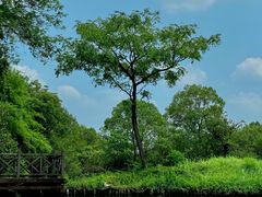 -烟水渔庄餐厅(西溪湿地店)