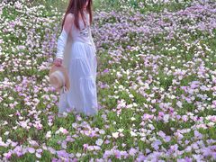 -汉长安城未央宫国家考古遗址公园