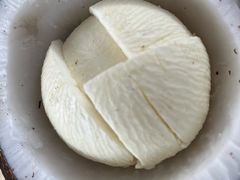 -东郊椰林