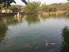 -星湖旅游景区七星岩