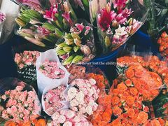 -循礼门鲜花花市(武汉循礼门店)