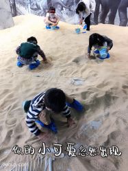 -恐龙探索乐园(磁器口店)