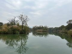 -西溪国家湿地公园