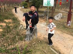 -天适樱花悠乐园