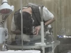 -汪小喵宠物·戴维斯乐芳希施宠馨宝皮毛调理洗护店