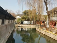 -鲁镇