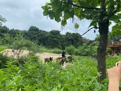 -沈阳森林动物园