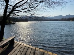 -苏堤停车场
