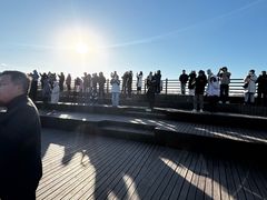 -盐城丹顶鹤湿地生态旅游区