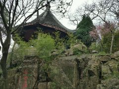 -香雪海
