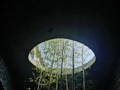 -朴园