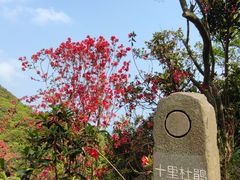 -梧桐山风景名胜区