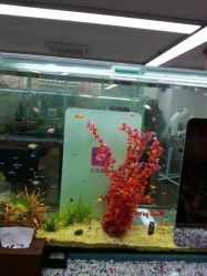 android_upload_pic-小左美发