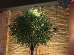 -同仁四季椰子鸡(宝安壹方城店)