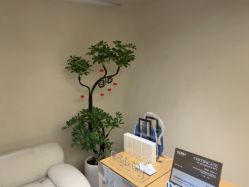-VALMONT·若嫚蝶国际美肤中心