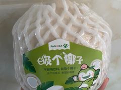 -百果园PAGODA(中铭豪园店)