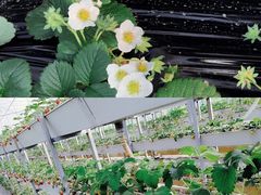 -普迪生态园