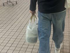 -珍妮曲奇聪明小熊(尖沙咀店)