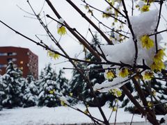 -同济大学(嘉定校区)